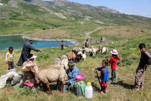 جلسه شورای عشایری در شهرستان بردسیر برگزار شد