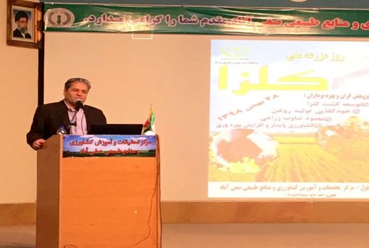 خوزستان مهمترین استان در تولید محصول و بذر کلزای بهاره در کشور