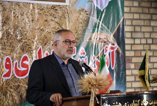 خرید 32 هزارتن گندم مازاد برمصرف کشاورزان در آذربایجان شرقی