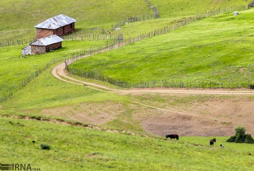 برداشت بی‌رویه زنگ خطر بیابان‌زایی را به صدا درآورد/نیاز فوری به چاره‌اندیشی