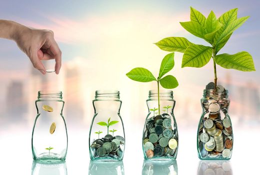 پیشهاد تدوین سند جامع سرمایه‌گذاری کشاورزی/ اولویت‌های سرمایه‌گذاری تعیین شود