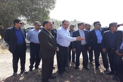 صنایع تبدیلی انگور را راه‌اندازی کنید 