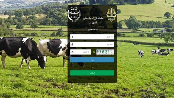 ایجاد زیرساخت فروش کنجاله کلزا، سورگوم و ترتیکاله در بازارگاه