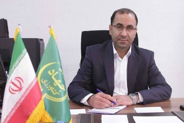 تشکیل تعاونی گلخانه داران راهگشای حل مشکلات تولید کنندگان