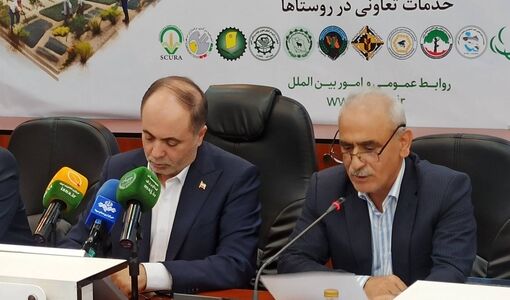 تأکید بر نقش تشکل‌ها در کاهش شکاف قیمتی و مدیریت بازار کشاورزی