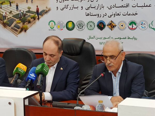 تأکید بر نقش تشکل‌ها در کاهش شکاف قیمتی و مدیریت بازار کشاورزی