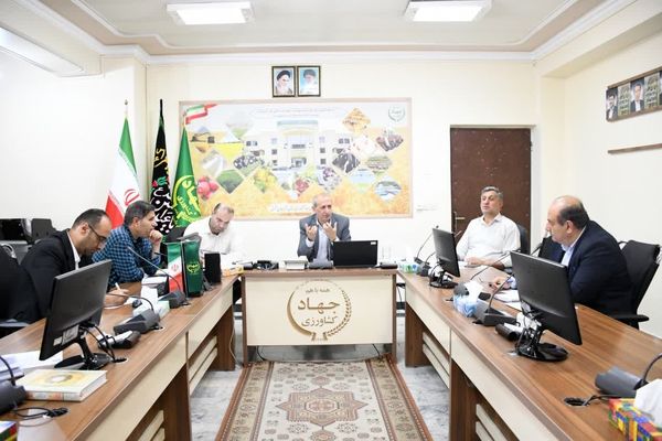 کاهش رغبت کشاورزان به بیمه محصولات/ نیازمند آسیب‌شناسی و بازنگری سیاست‌ها