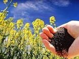 خرید تضمینی ۹۴۹ تن کلزا در خراسان شمالی 