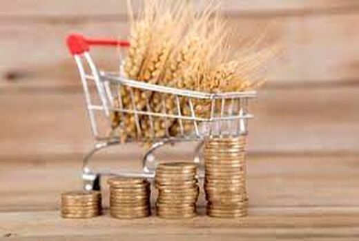 واریز بیش از 117 هزار میلیارد ریال وجوه خرید تضمینی گندم توسط بانک کشاورزی