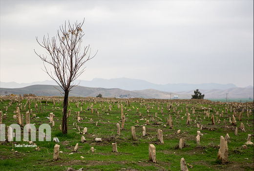 زندگی در آغاز بهار در  سر پل ذهاب