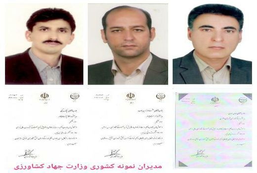 مدیران نمونه جهاد کشاورزی ایلام معرفی شدند