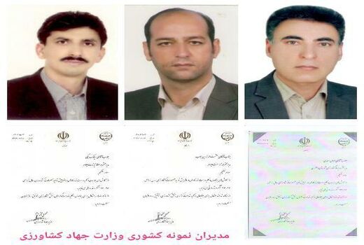مدیران نمونه جهاد کشاورزی ایلام معرفی شدند