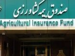 پرداخت ۱۵ هزار میلیارد ریال غرامت به کشاورزان خسارت دیده