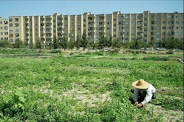 مجوز تغییر کاربری ۱۷ هکتار از اراضی کشاورزی کردستان صادر شد