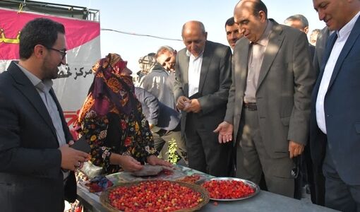 تبریز میزبان طعم‌های اصیل ارسباران ؛ نخستین جشنواره استانی «زغال‌اخته و سماق» در تبریز افتتاح شد