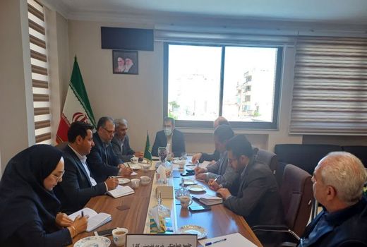 خرید تضمینی دانه‌های روغنی در آذربایجان شرقی