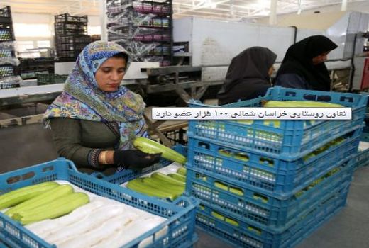 تعاون روستایی خراسان شمالی ۱۰۰ هزار عضو دارد