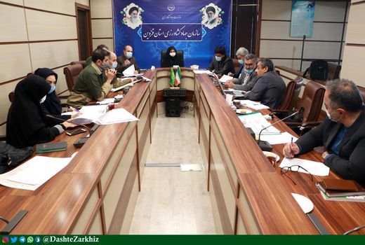 ۹ پلاک از اراضی استان قزوین رفع تداخل شد