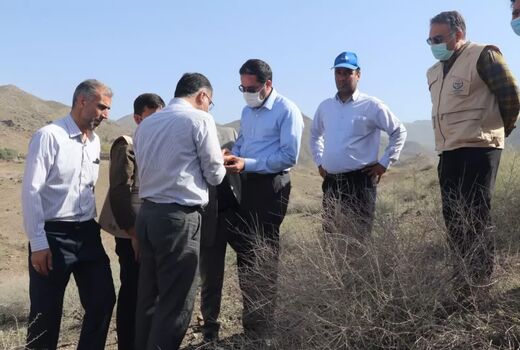مبارزه با آفت ملخ در ۶۴۰ هکتار از مناطق طارم سفلی انجام شد