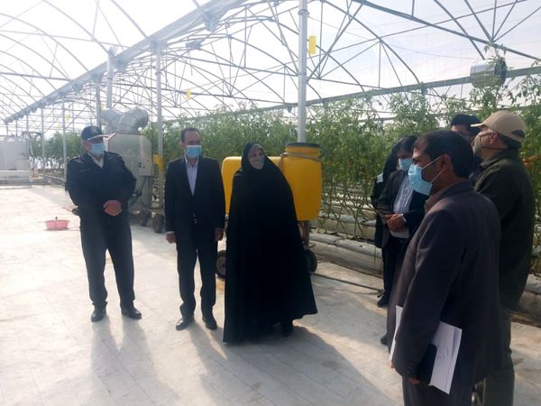 بهره برداری از گلخانه دو هکتاری هیدروپونیک در شهرستان ارزوئیه