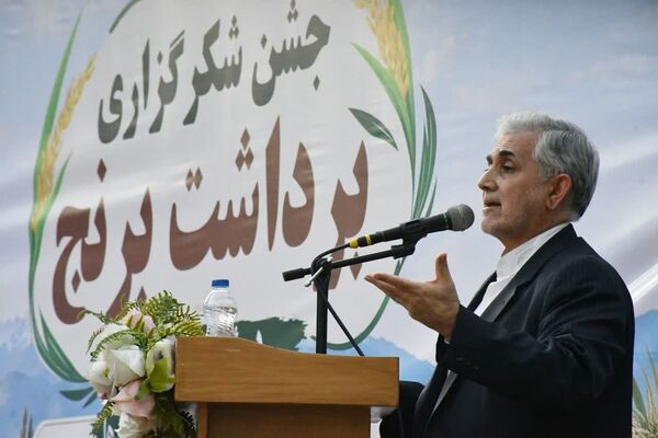 5 همت گردش مالی برنج کاران در شهرستان میانه