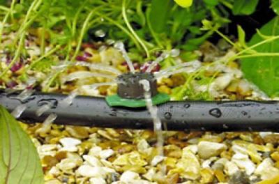 تجهیز 450 هکتار از اراضی گیلان به آبیاری نوین در سال جاری/ امسال ریالی به آب و خاک پرداخت نشده است