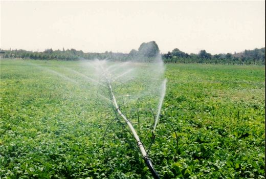 آبیاری 720 هکتار از اراضی فردیس با سیستم‌های نوین آبیاری