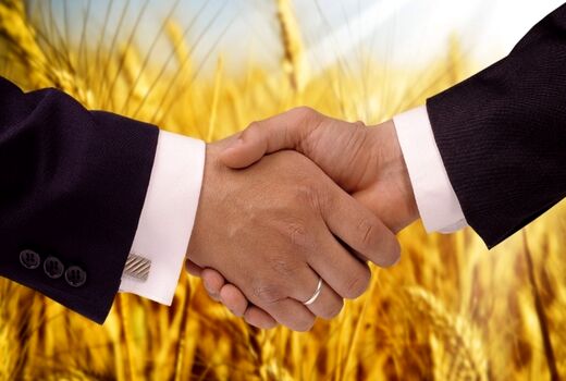 حمایت از تعاونی‌ روستاها، باعث کاهش مهاجرت می‌شود 