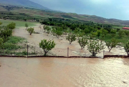 خسارت ۷۰ میلیارد تومانی سیل و تگرگ به بخش کشاورزی شهرستان اهر