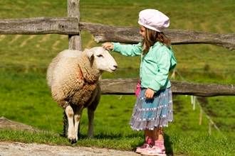 تلفات ناشی از بیماری‌های مشترک، با جنگ جهانی رقابت می‌کند