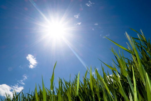 دور آبیاری را کاهش دهید