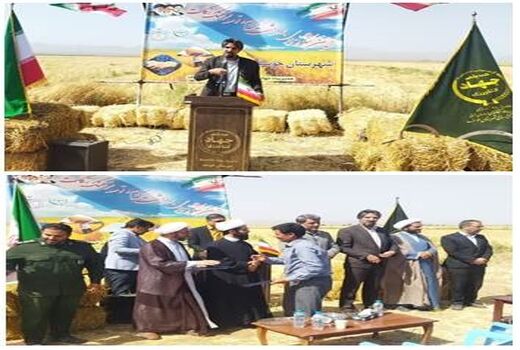 جشن شکرگزاری برداشت گندم
