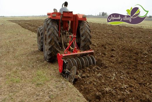 افزایش عملکرد گندم در گرو انتخاب زمان مناسب کاشت گندم