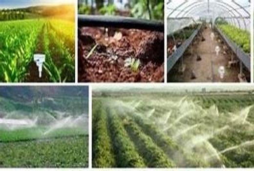 بهره برداری از 25 پروژه بخش کشاورزی استان البرز در هفته دولت 