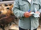 باز شدن پای دلال ها برای خرید دام با قیمت ارزان