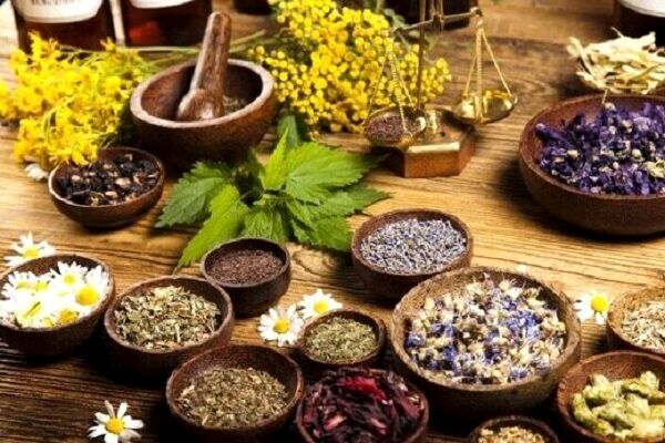 شناسایی دو هزار و ۵۰۰ گونه گیاه دارویی در کشور