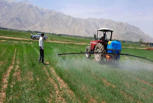 مبارزه با علف‌های هرز در یک هزار هکتار از مزارع غلات شهرستان فارسان