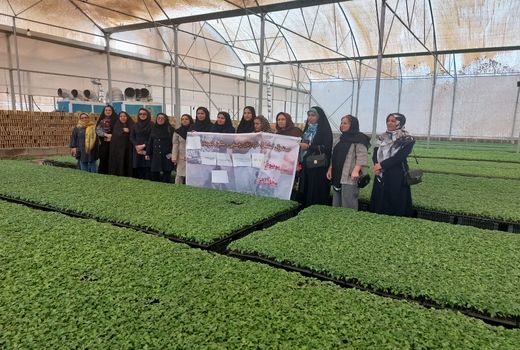 برنامه ترویجی حوزه فعالیت‌های زنان روستایی و عشایر بوشهر ابلاغ شد