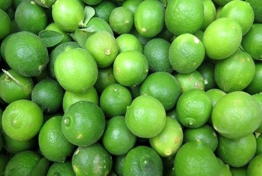 برآورد تولید 15 هزار تن لیموترش در کازرون