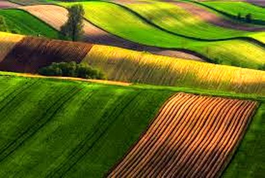 اتمام رفع تداخلات اراضی کشاورزی درهفت شهرستان آذربایجان غربی / لزوم تسریع در روند عملیات اجرایی تا پایان سال جاری