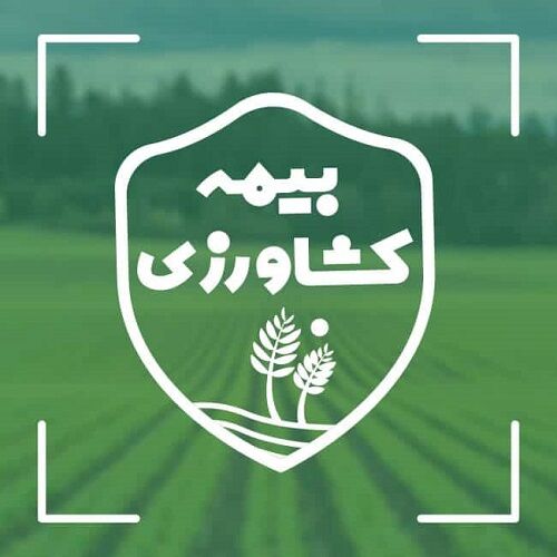آغاز بیمه گری محصولات تابستانه 