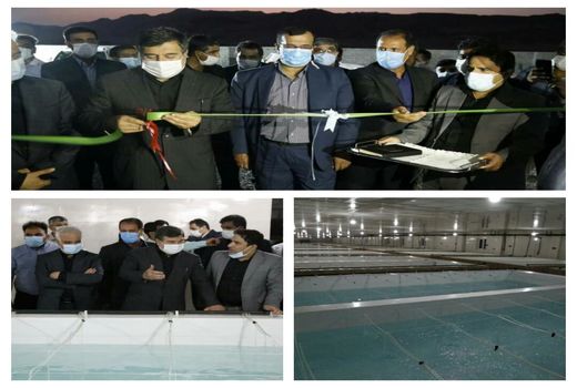 مرکز تکثیر میگو در شهرستان بندرلنگه به بهره برداری رسید