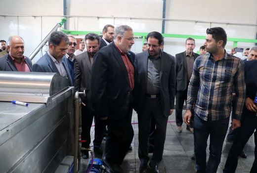 بازدید استاندار قزوین از ۲ واحد تولیدی صنایع غذایی تبدیلی در طارم سفلی