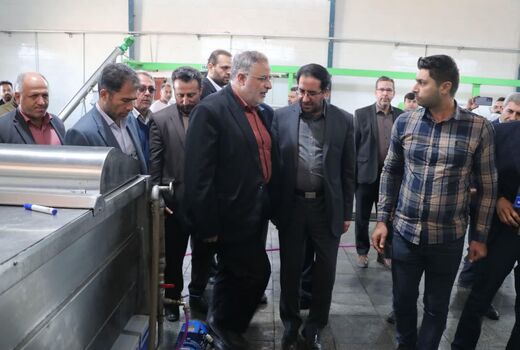 بازدید استاندار قزوین از ۲ واحد تولیدی صنایع غذایی تبدیلی در طارم سفلی