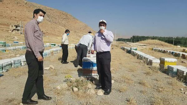 بازدید کارگروه تخصصی یاوران تولید از زنبورستان‌ها