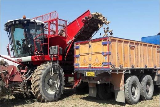 چغندرقند اقلید روانه کارخانه ها شد