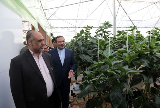 بازدید طرح‌های کشاورزی شهرستان بیضا برنامه نخست وزیر جهادکشاورزی در فارس