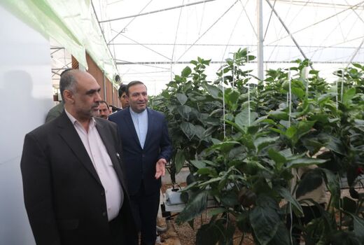 بازدید طرح‌های کشاورزی شهرستان بیضا برنامه نخست وزیر جهادکشاورزی در فارس