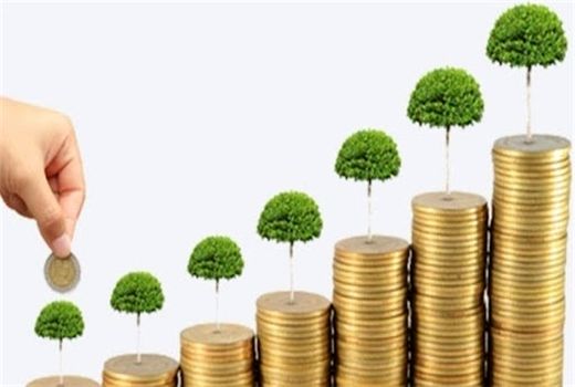 دریافت تسهیلات طرح‌های تولیدی کشاورزی خراسان جنوبی از صندوق توسعه ملی