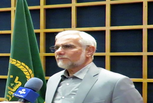 استان بوشهر در تولید بذر گندم خودکفا گردید